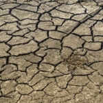 Gevolgen van droogte op grondwaterstanden_Geofoxx