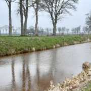 quickscan vroeg in proces aanvragen_Geofoxx