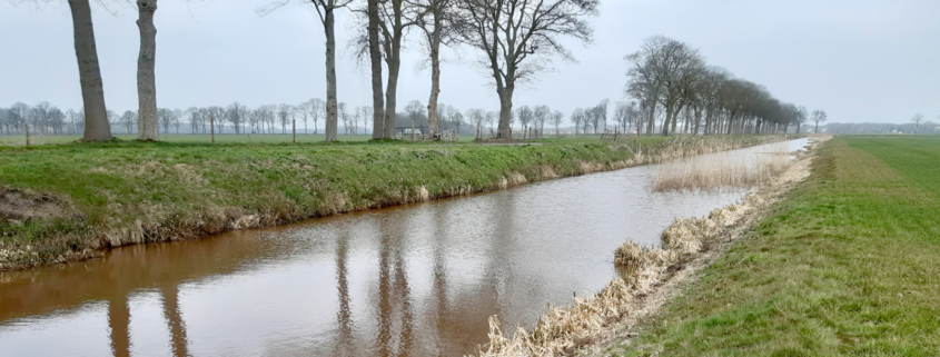 quickscan vroeg in proces aanvragen_Geofoxx